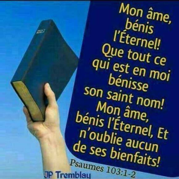 Meet your Posher, Marie - Picture 1 of 1